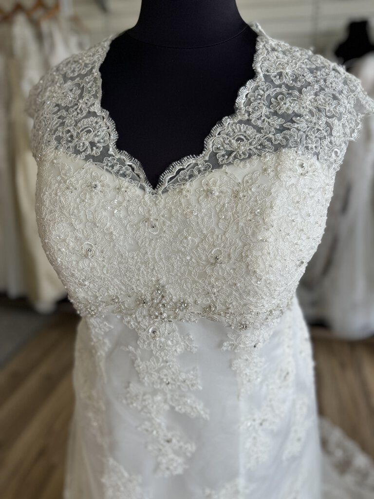 Ivory Lace A-Line Capped Sleeve Wedding Gown 24W