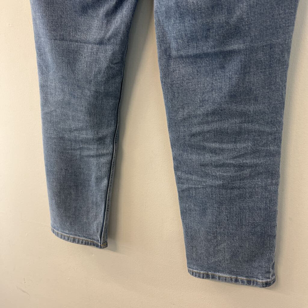 Everlane Medium Wash The Curvy Cheeky Jean 30