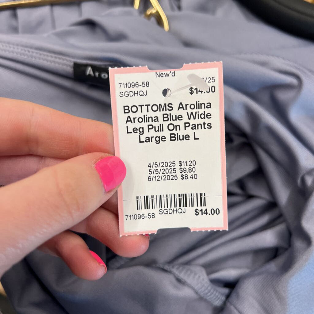 Arolina Blue Wide Leg Pull On Pants Large