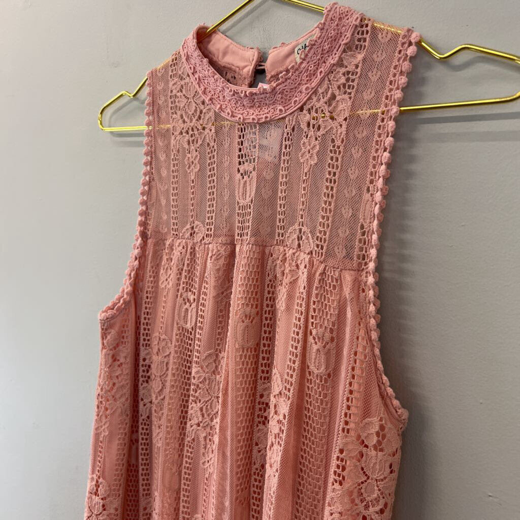 Chance or Fate Pink Lace Sleeveless High Neck Dress Medium
