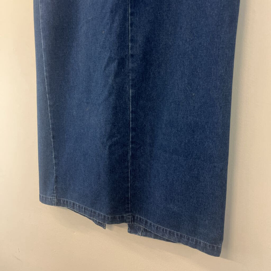 Vintage Mountain Lake Dark Wash Denim Maxi Skirt 10
