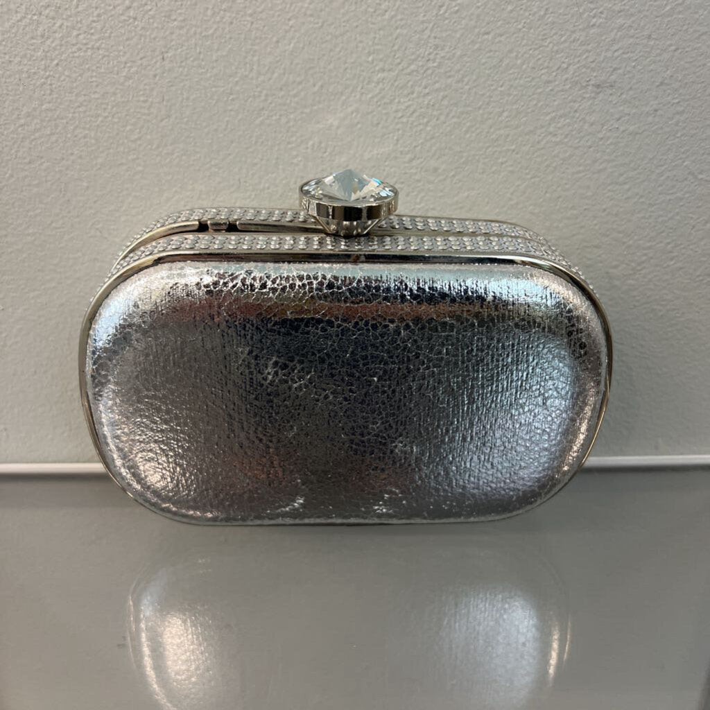 Metallic Silver Small Clutch Purse