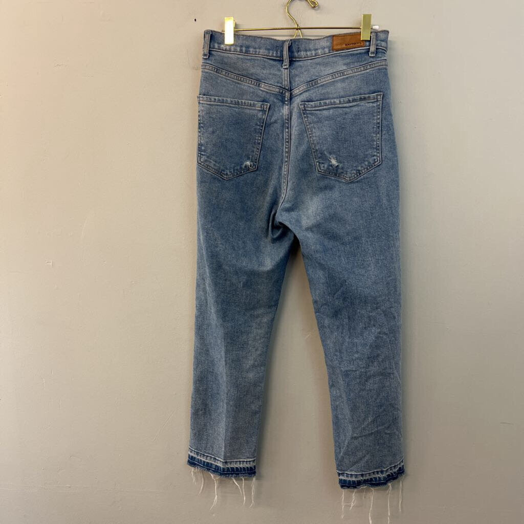 Express Light Wash High Waisted Distressed Jeans 6