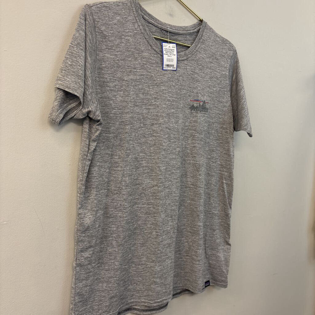 Patagonia Grey Short Sleeve Graphic Tee Large