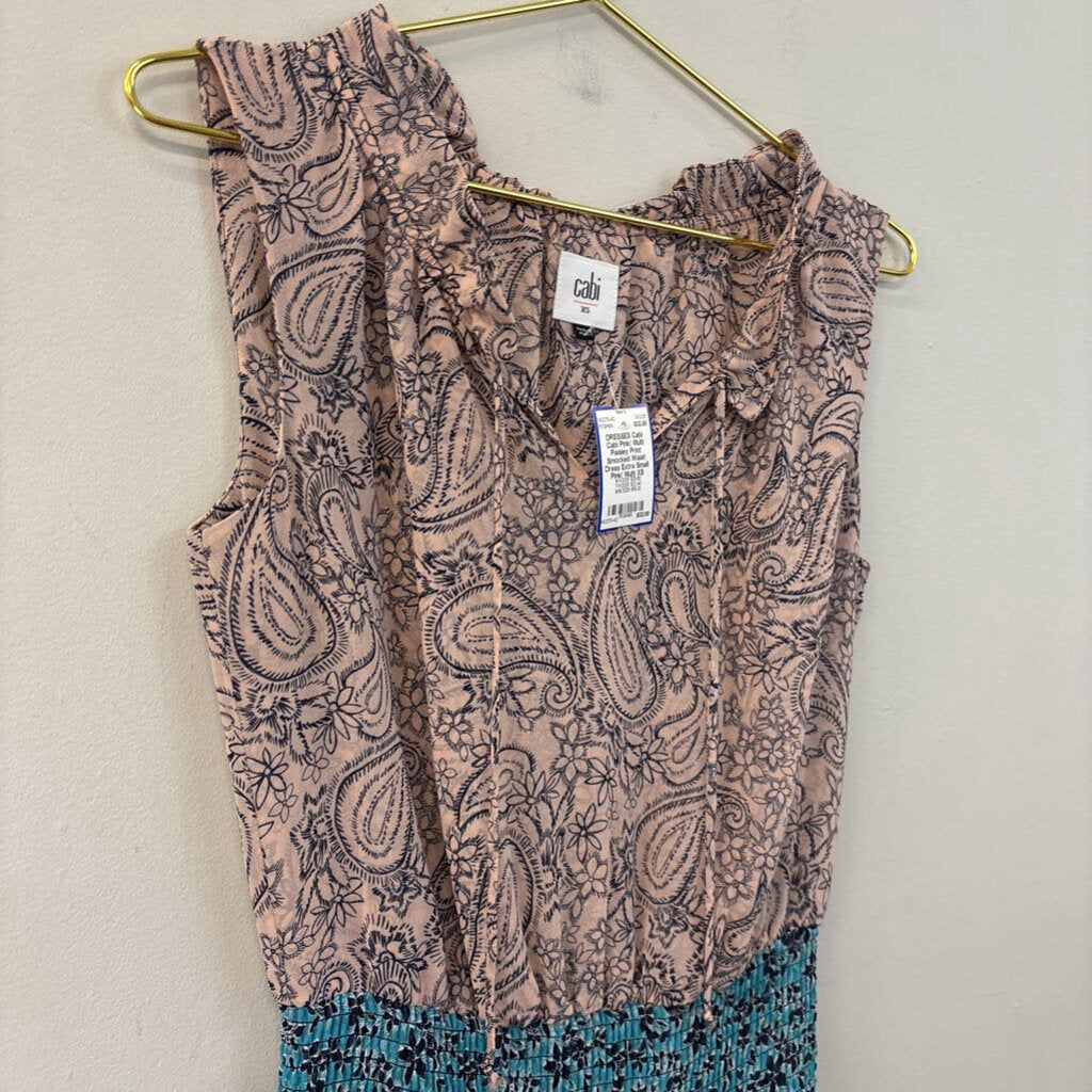 Cabi Pink/ Multi Paisley Print Smocked Waist Dress Extra Small