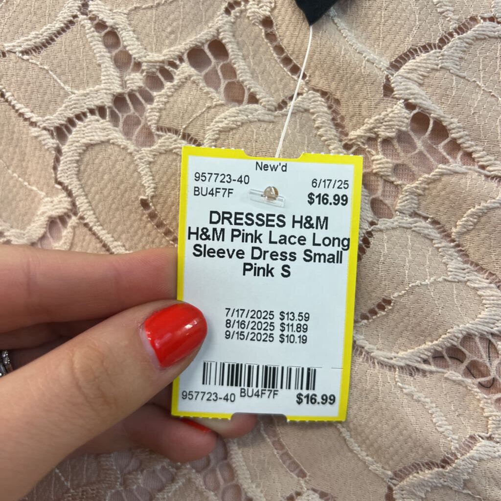 H&M Pink Lace Long Sleeve Dress Small