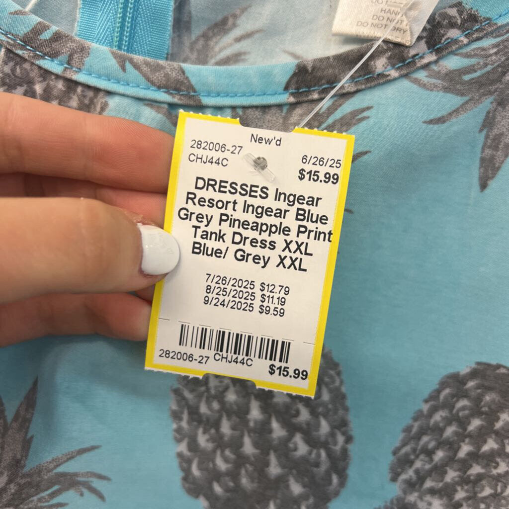 Ingear Blue Grey Pineapple Print Tank Dress XXL
