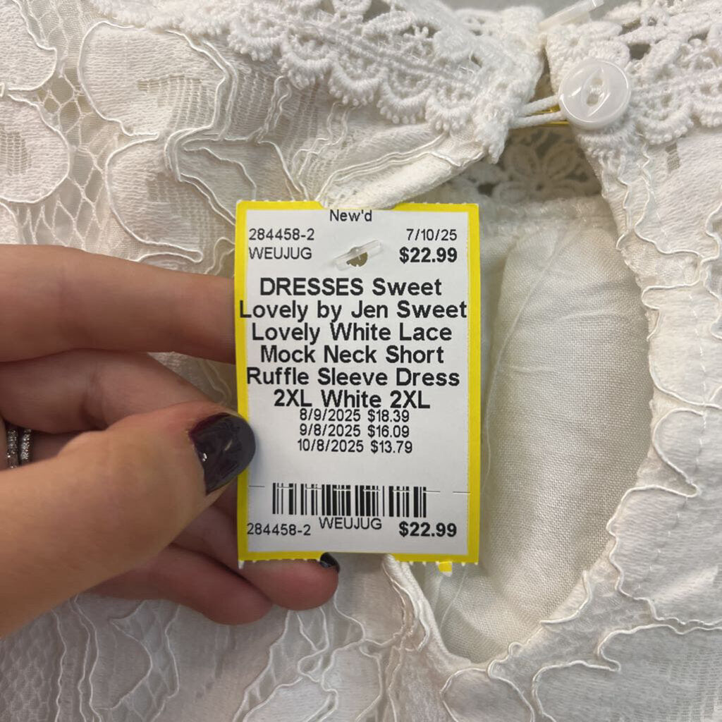 Sweet Lovely White Lace Mock Neck Short Ruffle Sleeve Dress 2XL
