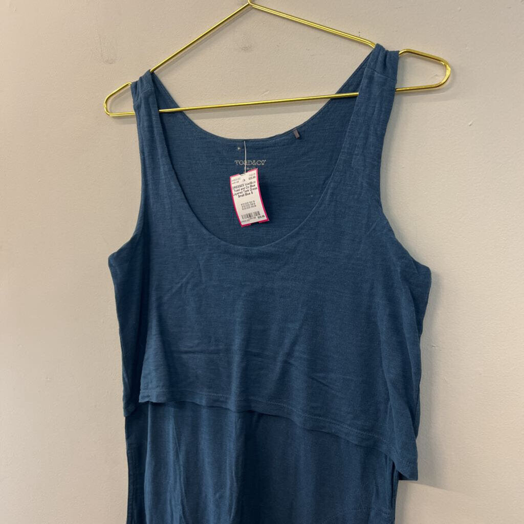 Toad and Co Blue Layered Tank Dress Small