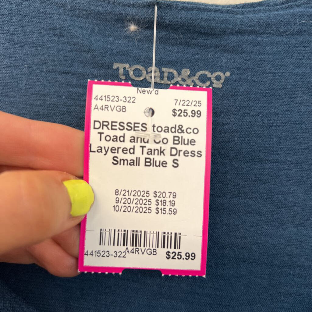 Toad and Co Blue Layered Tank Dress Small