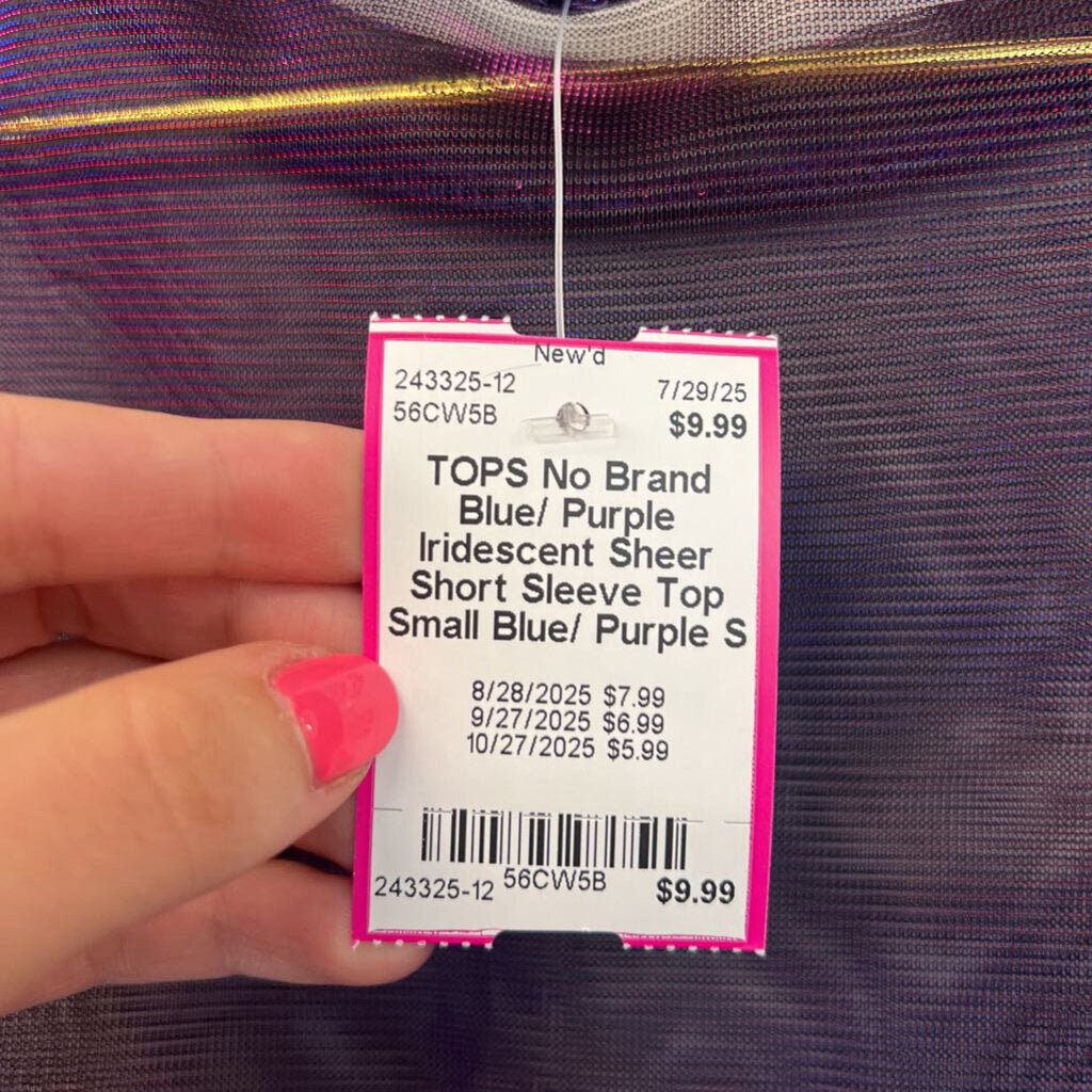 Blue/ Purple Iridescent Sheer Short Sleeve Top Small