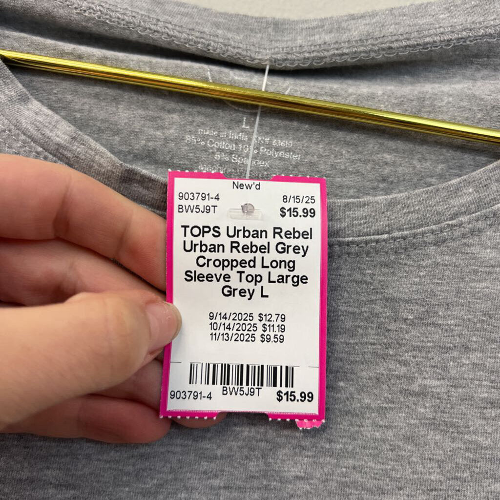 Urban Rebel Grey Cropped Long Sleeve Top Large