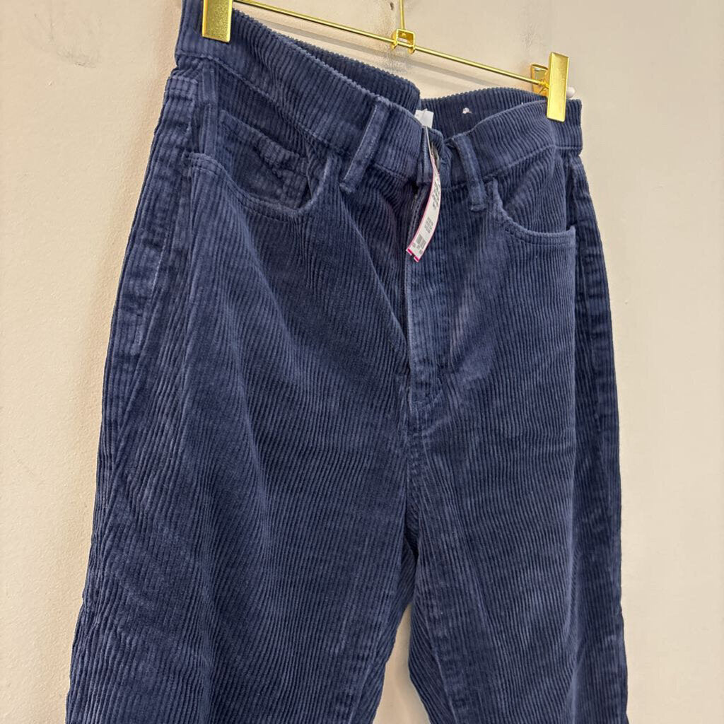 Loft Navy Blue Corduroy Pants 4
