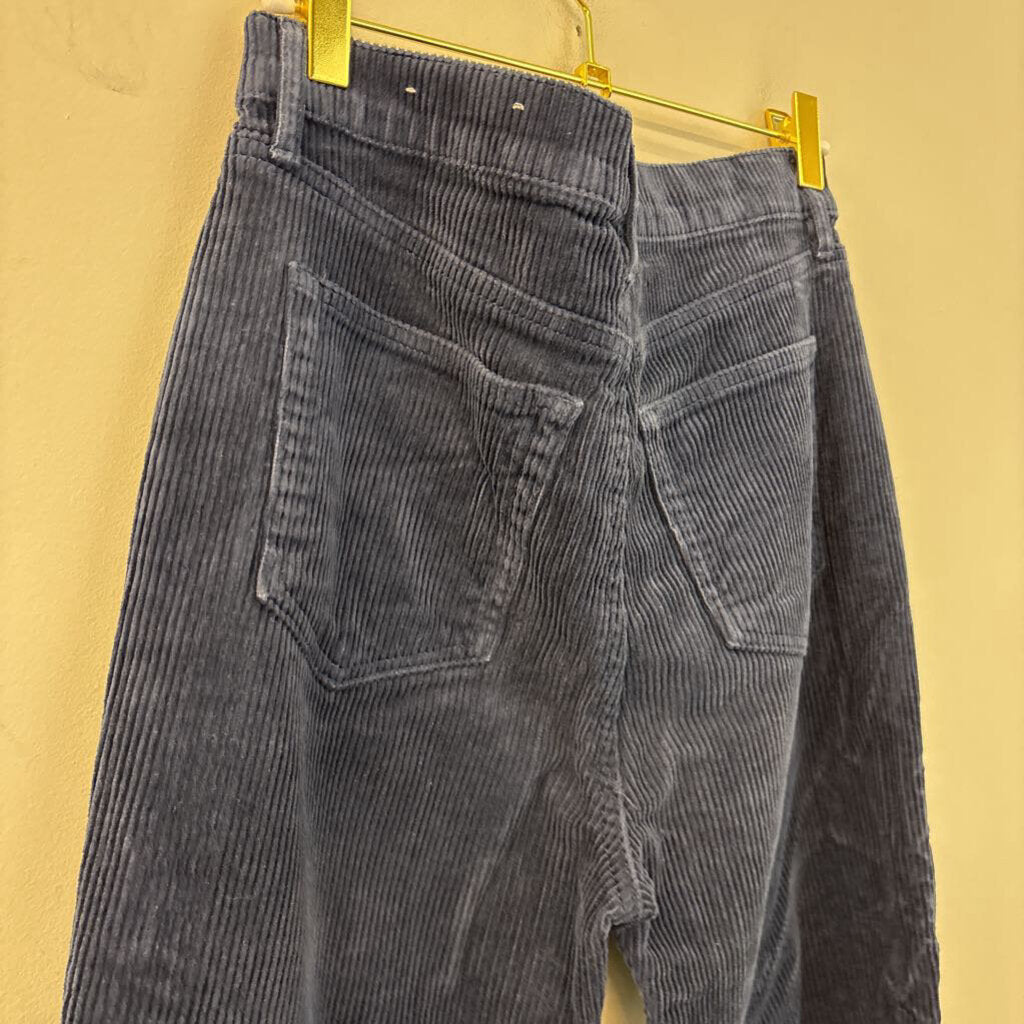Loft Navy Blue Corduroy Pants 4