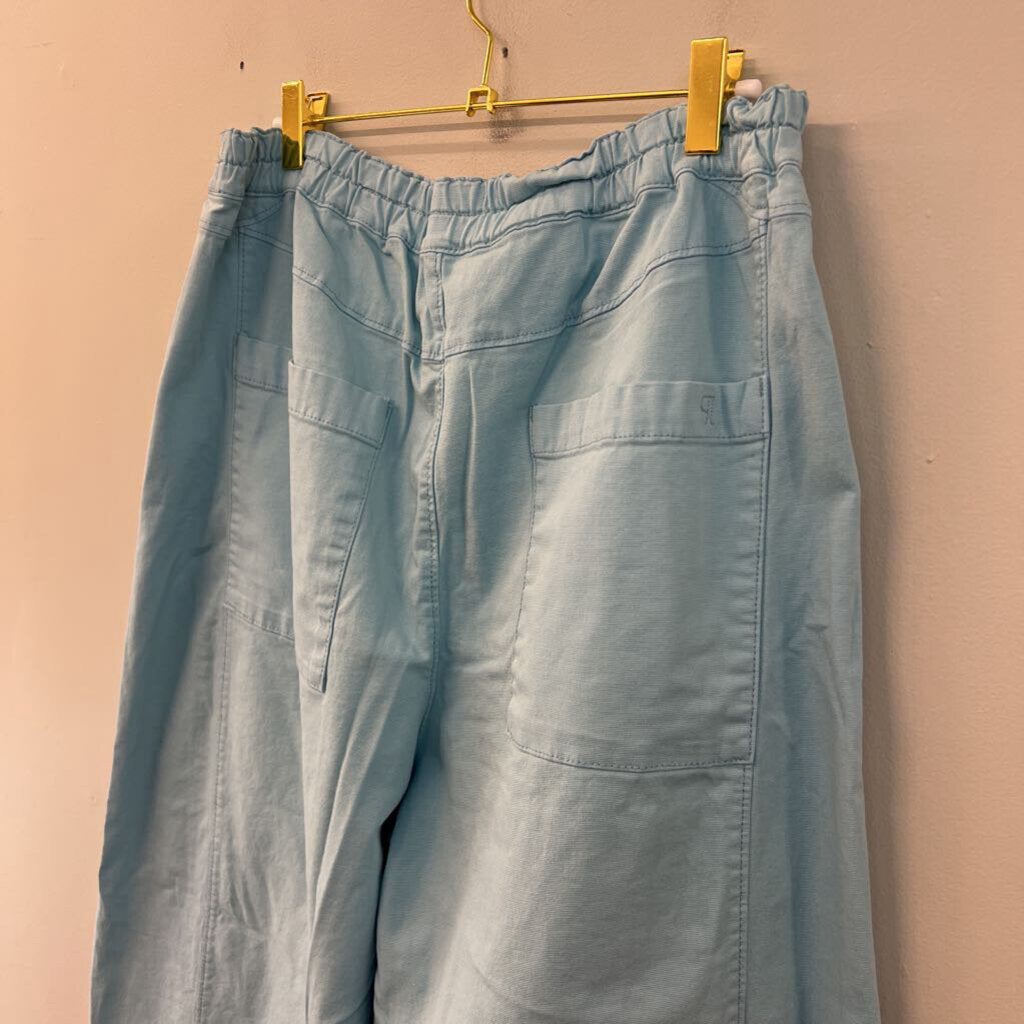 Pilcro Blue Pull On Cropped Barrel Pants Large