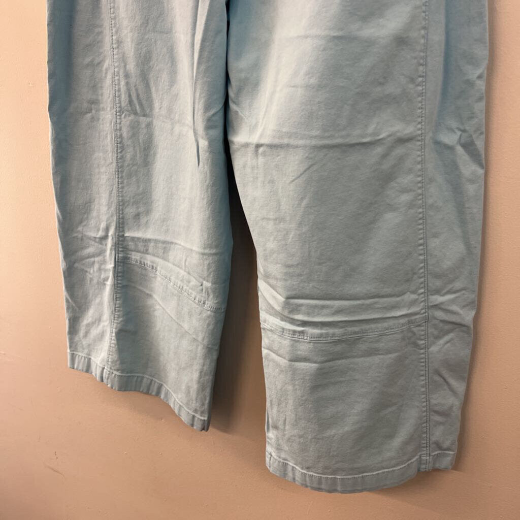 Pilcro Blue Pull On Cropped Barrel Pants Large