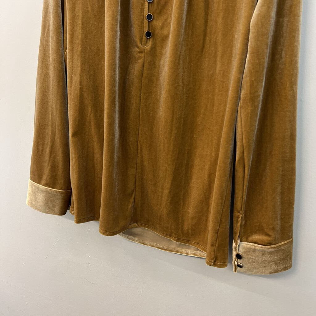 Gold Velvet Long Sleeve Mock Neck Top Medium