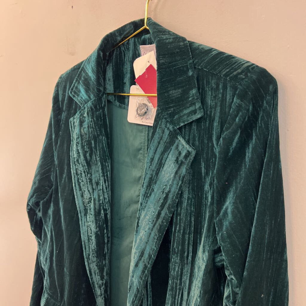 Cozy Co Green Velvet Long Sleeve Button Down Top Large