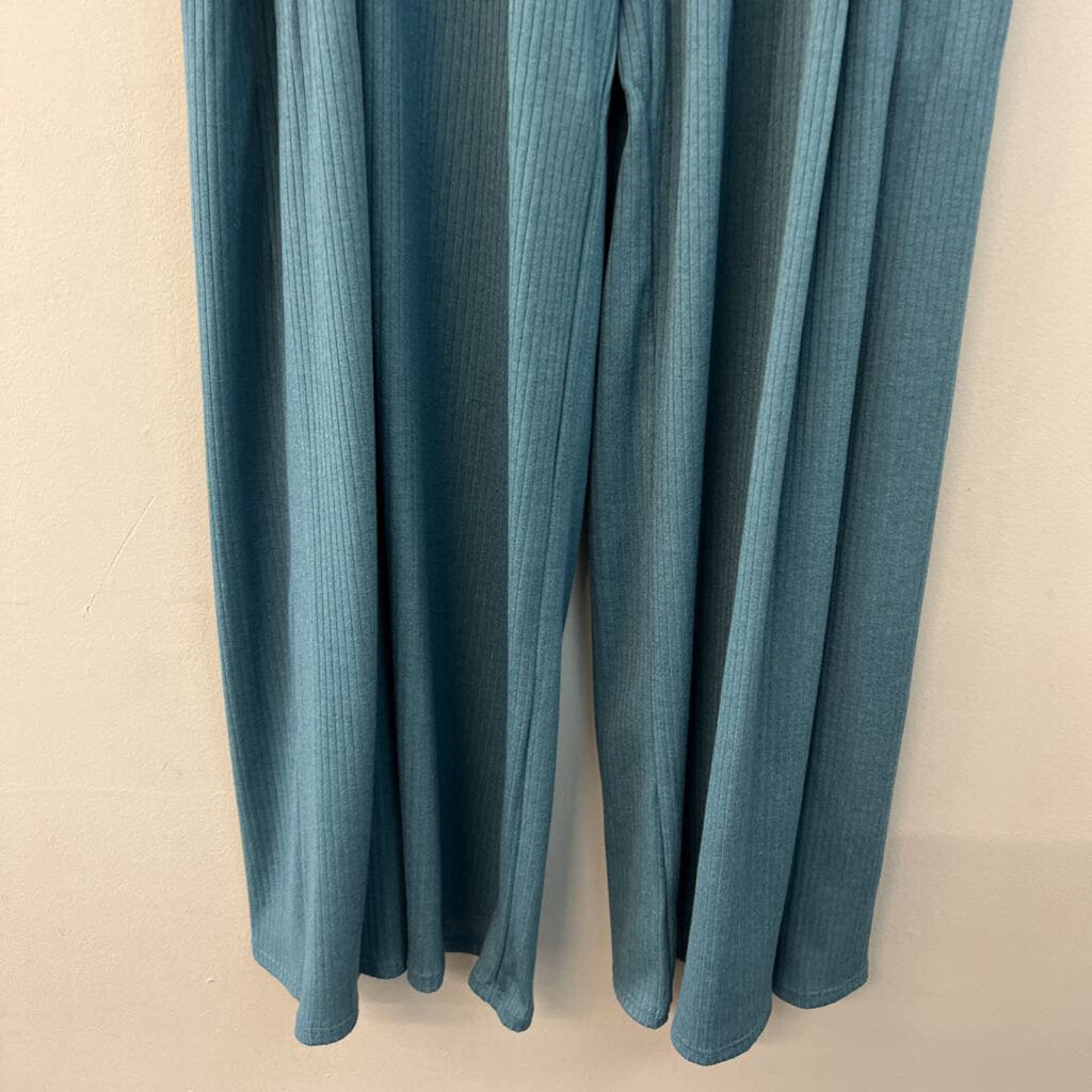 Jade by Jane Blue Wide Leg Pull On Pants 1X