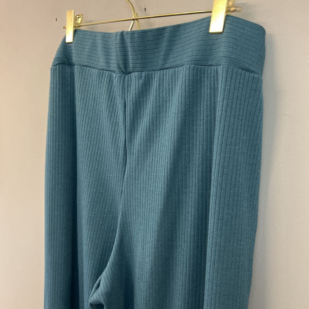 Jade by Jane Blue Wide Leg Pull On Pants 1X