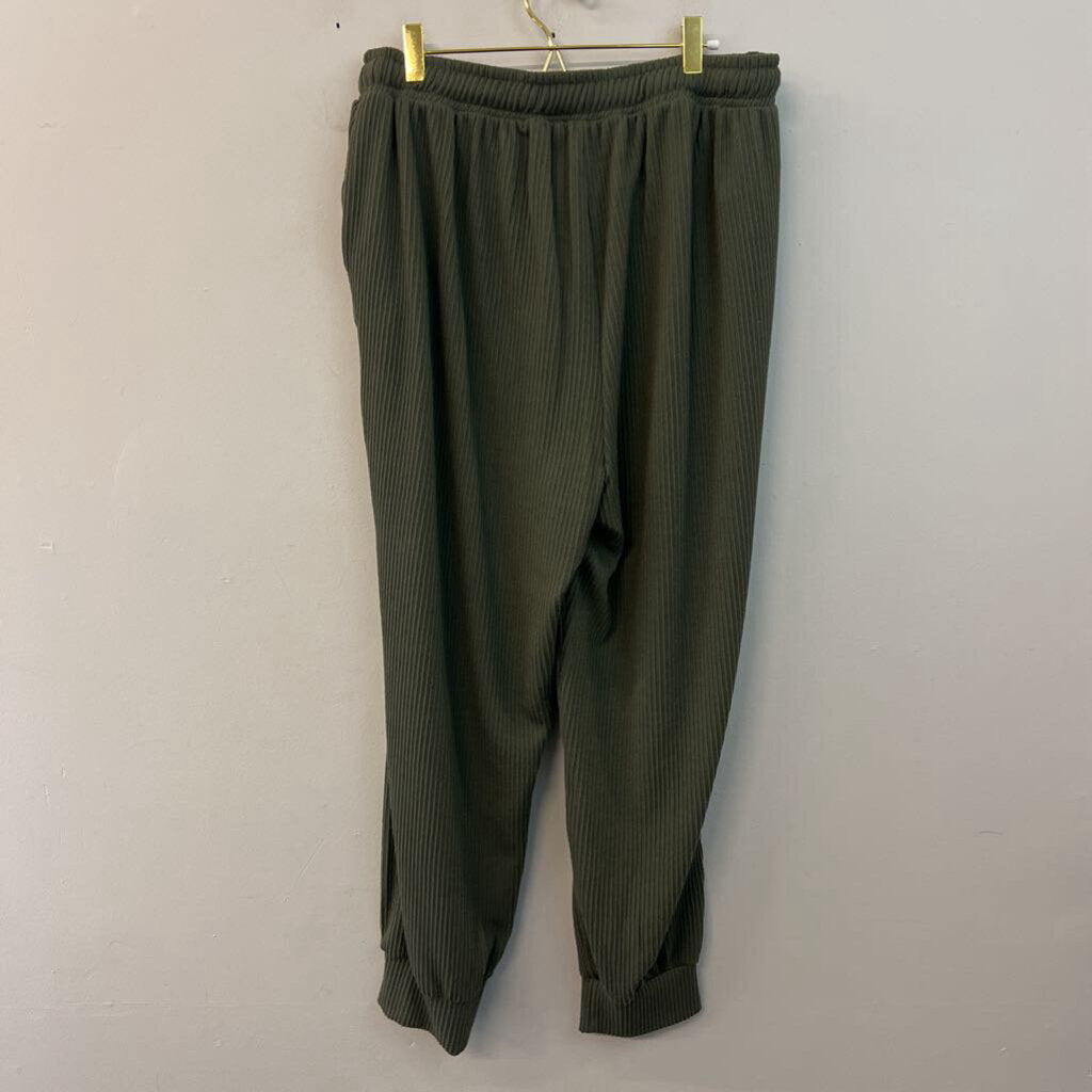 White Birch Green Textured Pull On Jogger Pants 2X