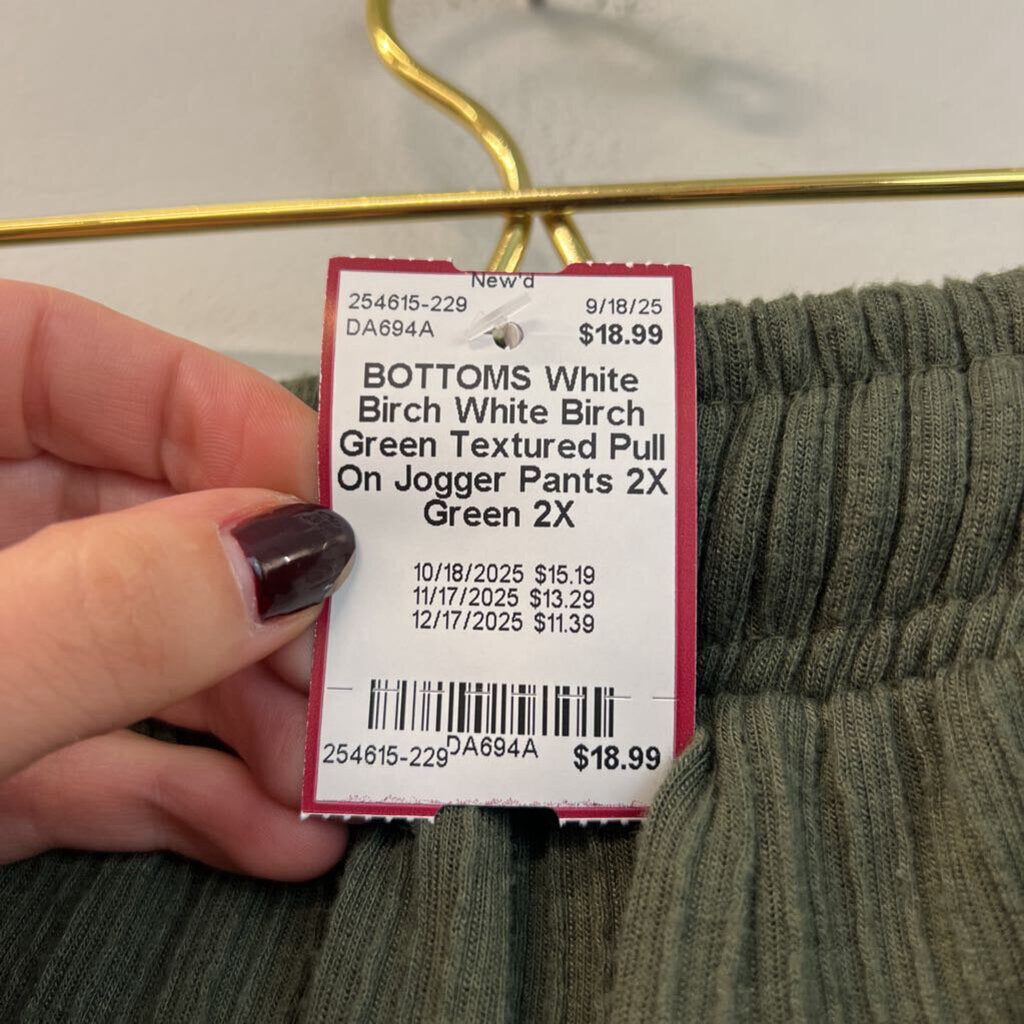 White Birch Green Textured Pull On Jogger Pants 2X