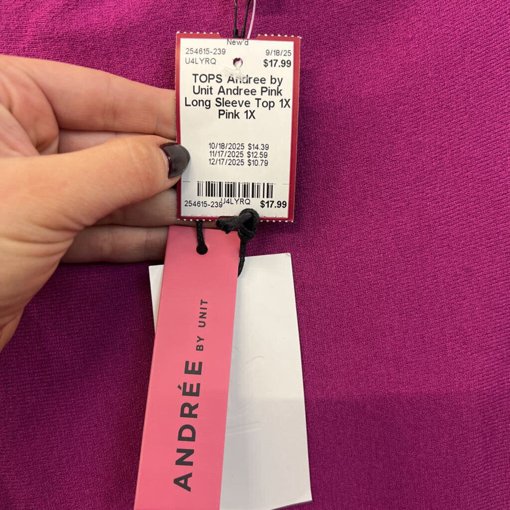 Andree Pink Long Sleeve Top 1X
