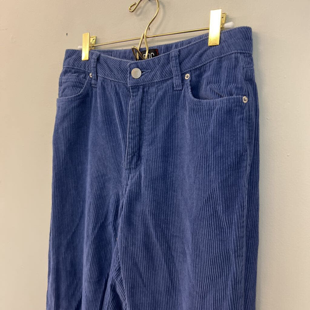 BDG Blue Corduroy Straight Leg Pants 27