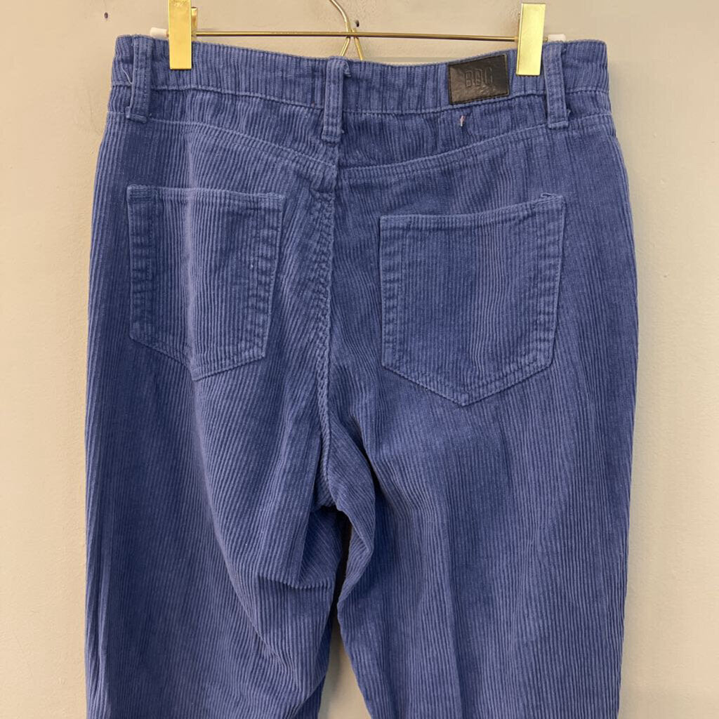 BDG Blue Corduroy Straight Leg Pants 27