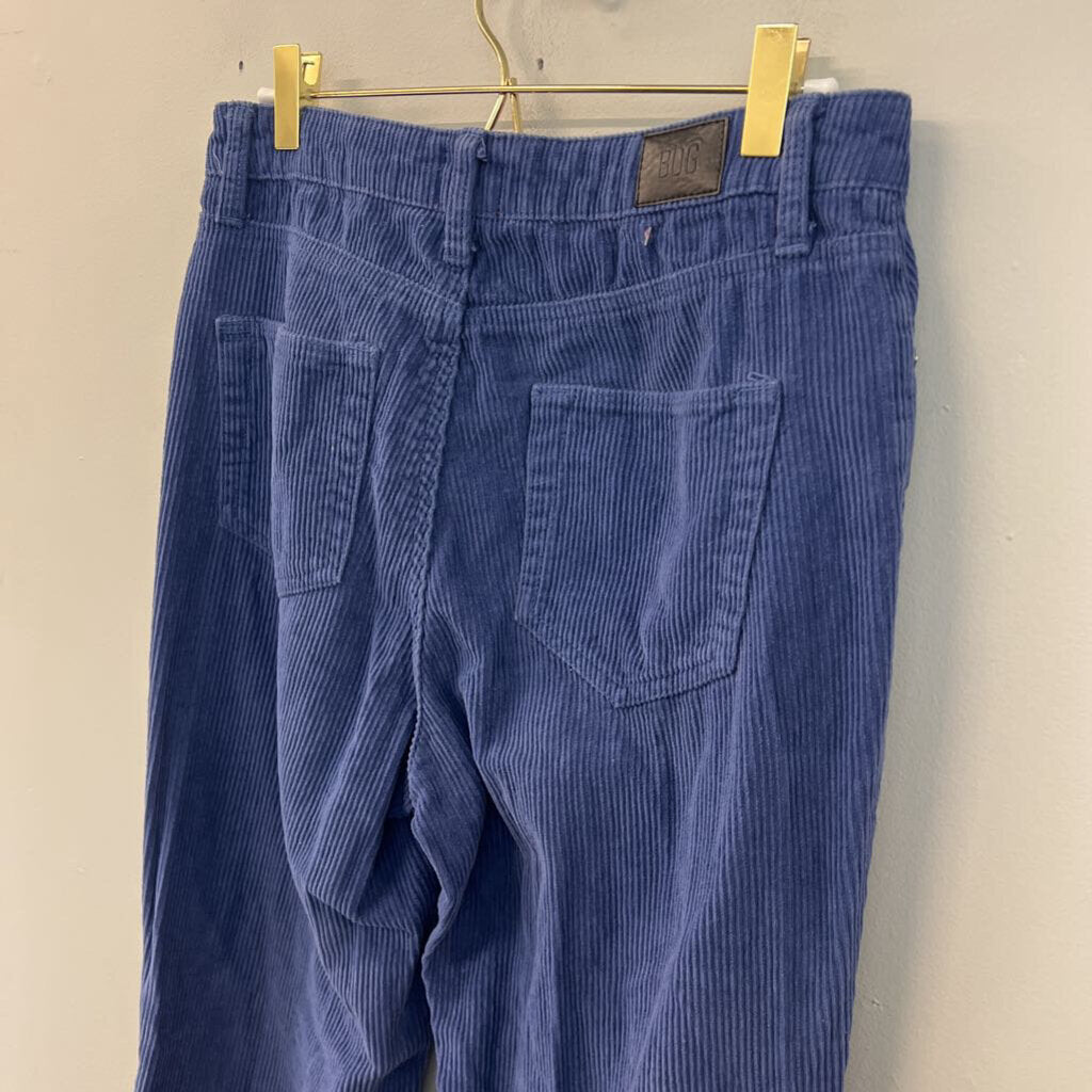 BDG Blue Corduroy Straight Leg Pants 27