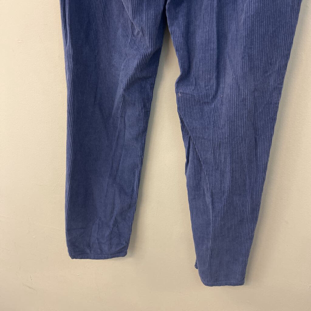 BDG Blue Corduroy Straight Leg Pants 27