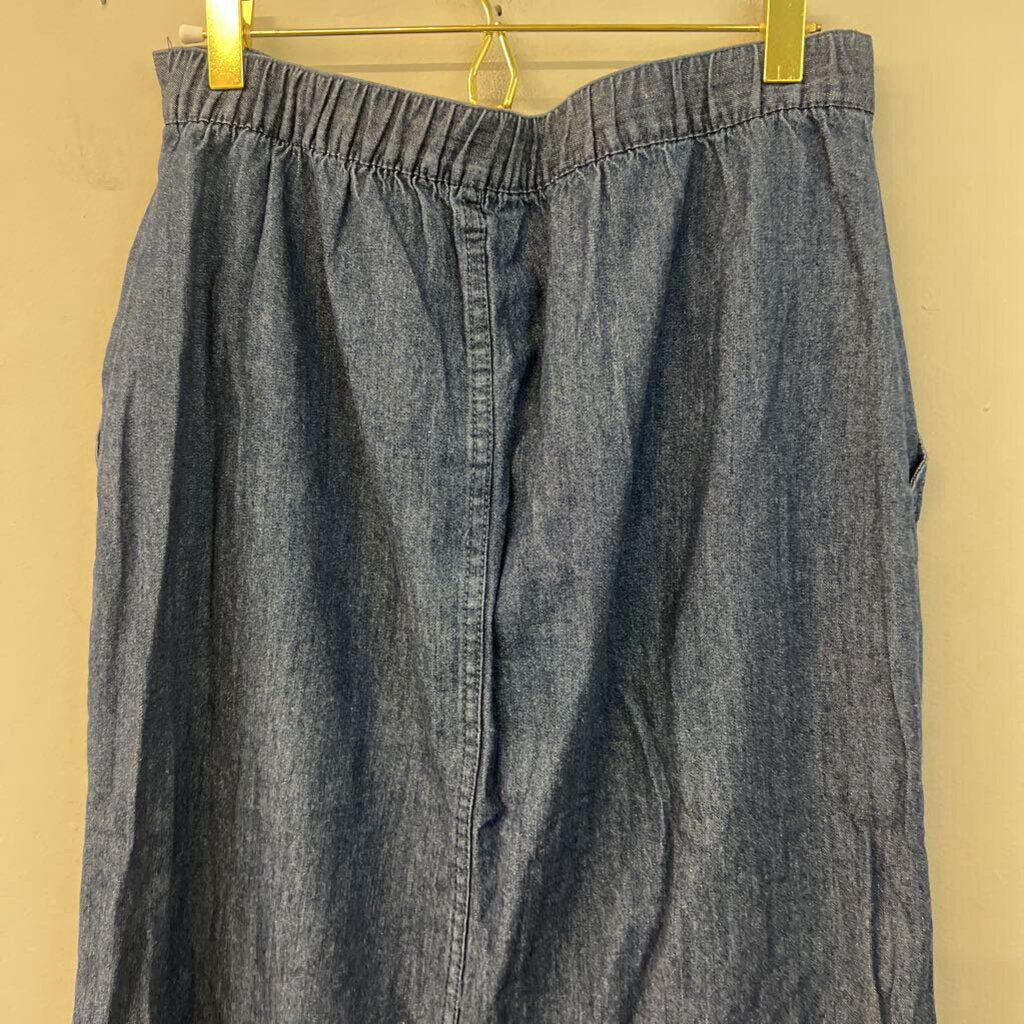 Blue Chambray Button Front Midi Skirt Small