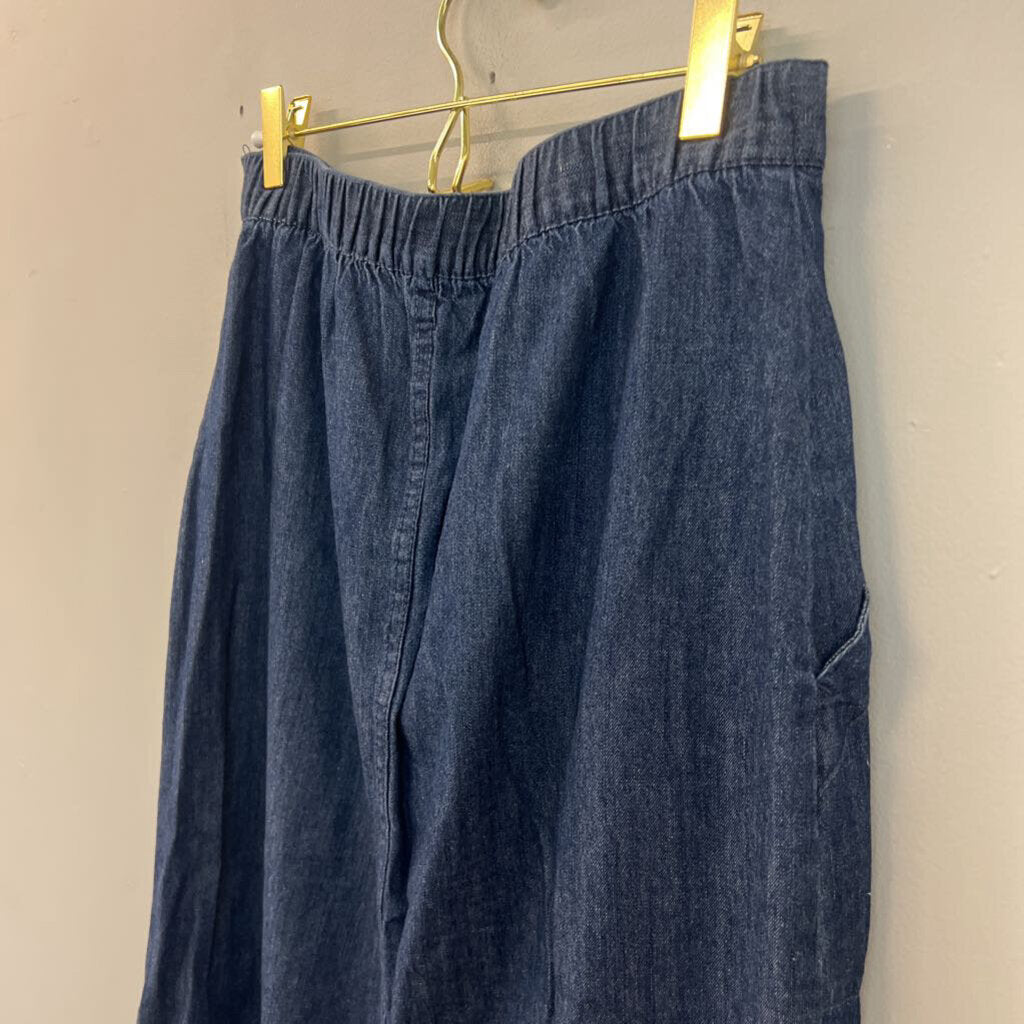 Blue Chambray Button Front Midi Skirt Small