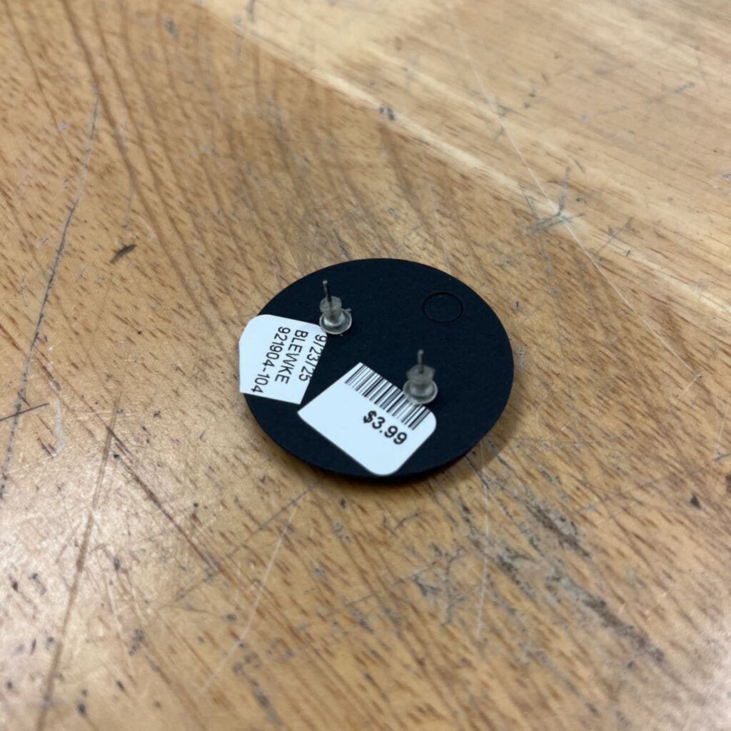 Silver Cactus Stud Earrings