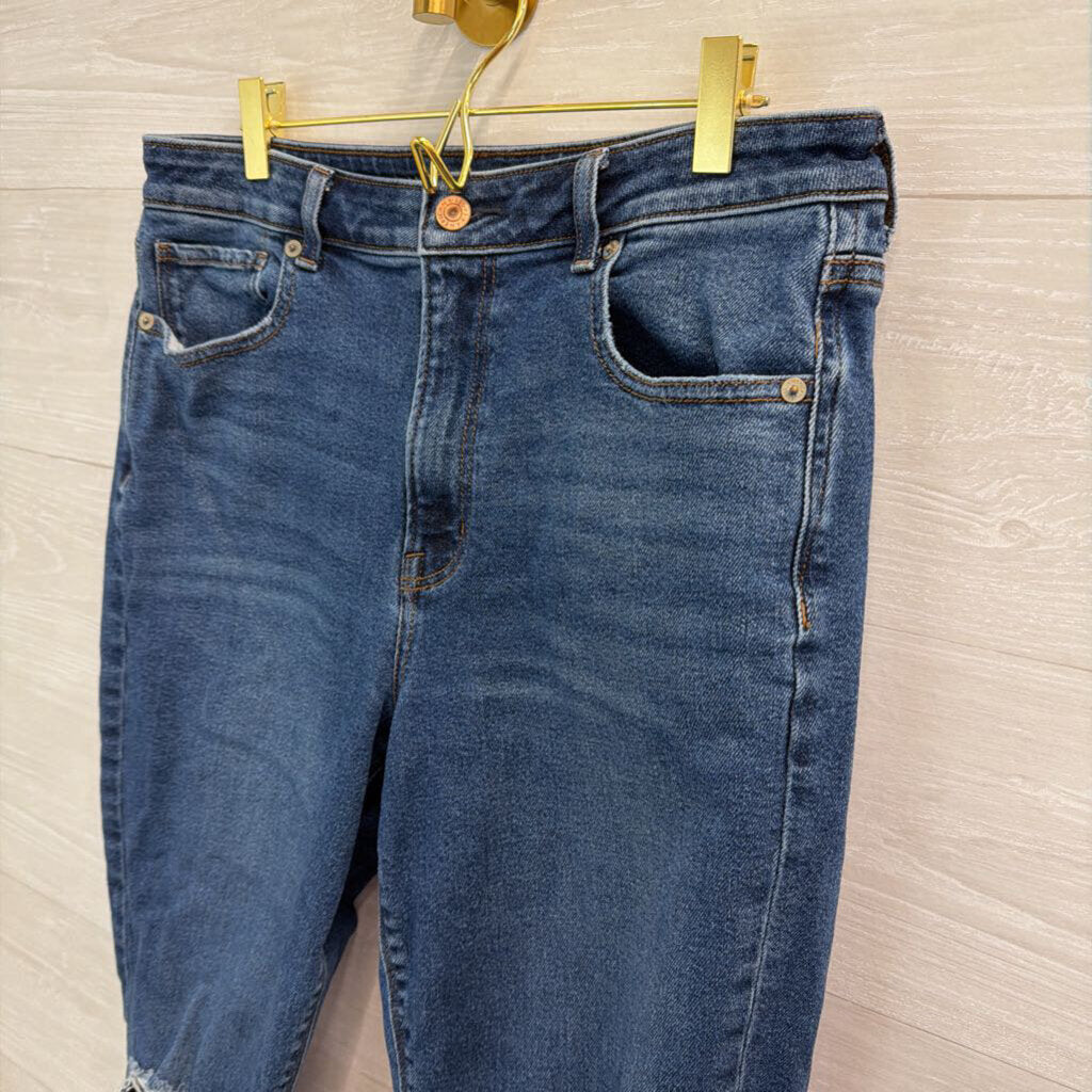 American Eagle Medium Wash Mom Jeans 10 Short