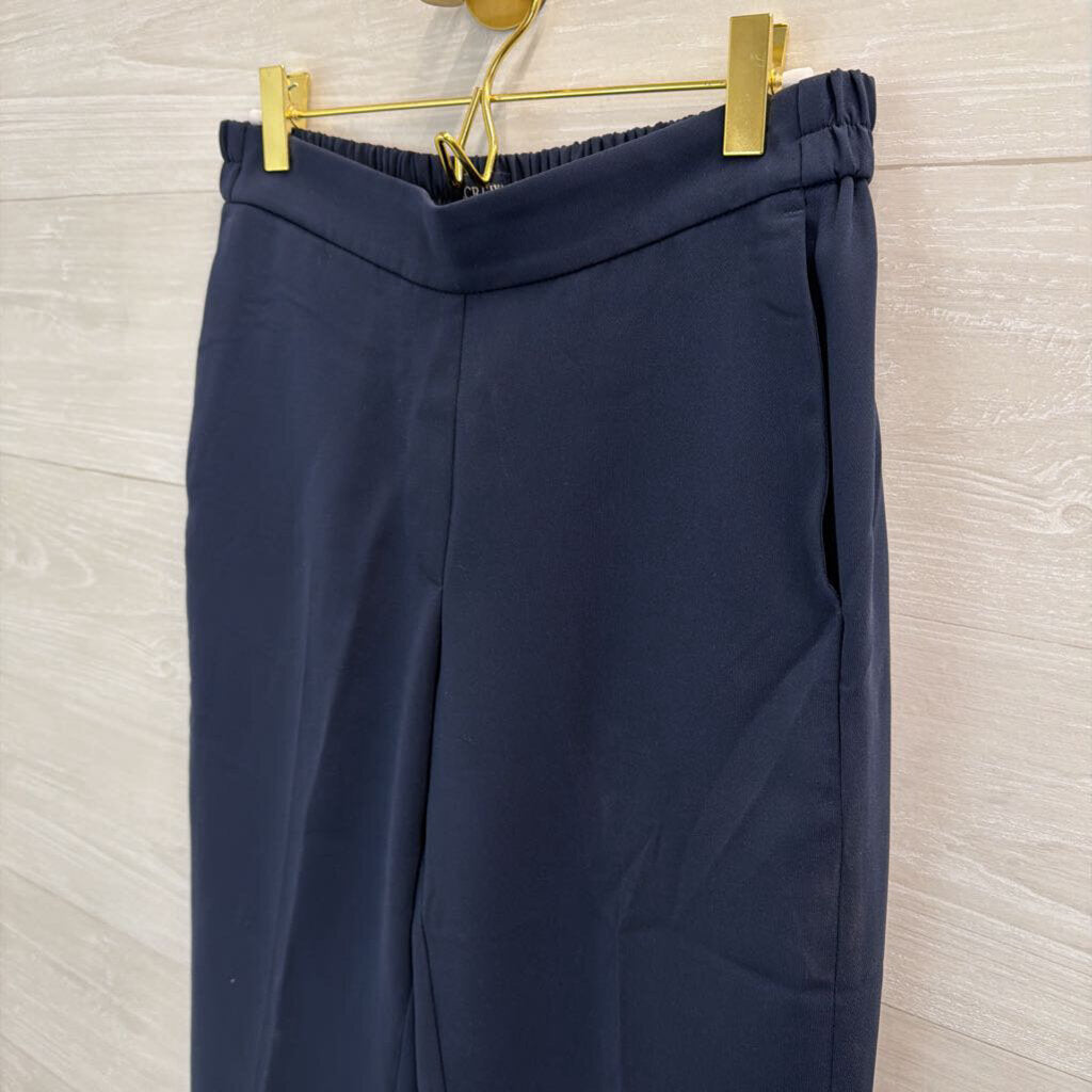 J Crew Navy Jamie Pants 6