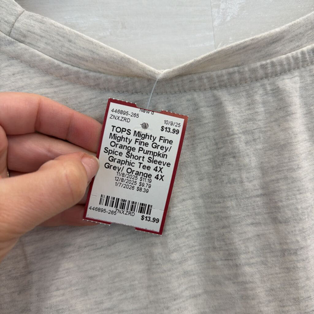 Mighty Fine Grey/ Orange Pumpkin Spice Short Sleeve Graphic Tee 4X