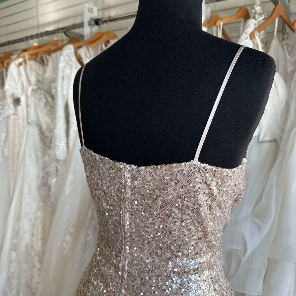 B Smart Champagne Sequin Long Formal Dress 11/12