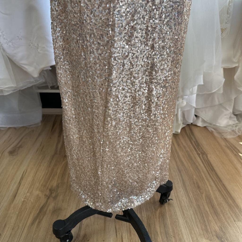 B Smart Champagne Sequin Long Formal Dress 11/12