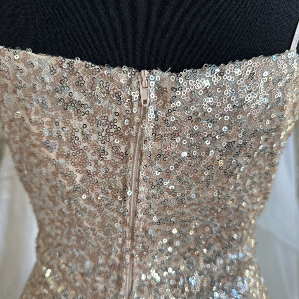 B Smart Champagne Sequin Long Formal Dress 11/12