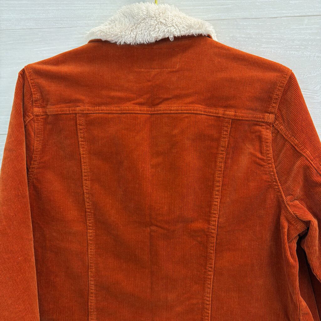 Torrid Orange/ Cream Trim Corduroy Jacket 0