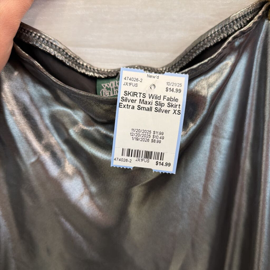 Silver Maxi Slip Skirt Extra Small