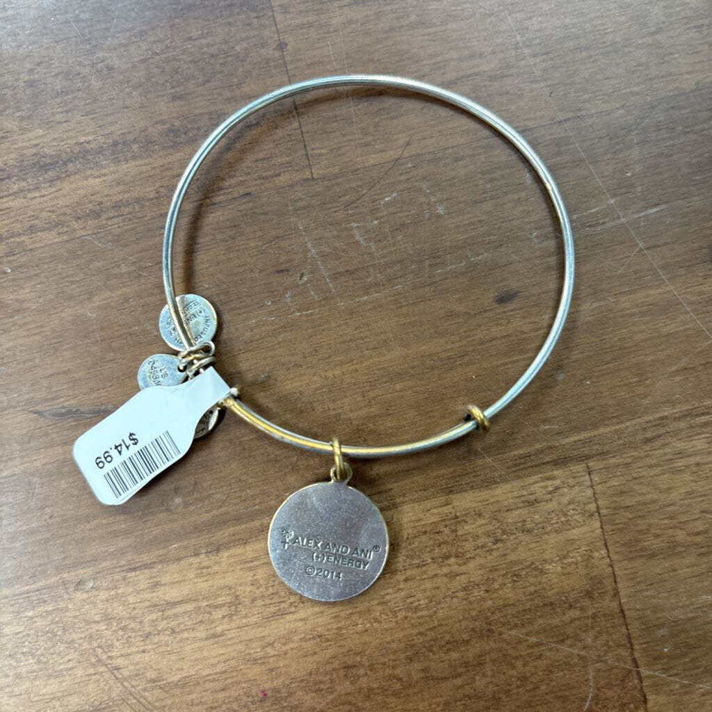 Alex and Ani Silver University of Virginia Charm Bracelet