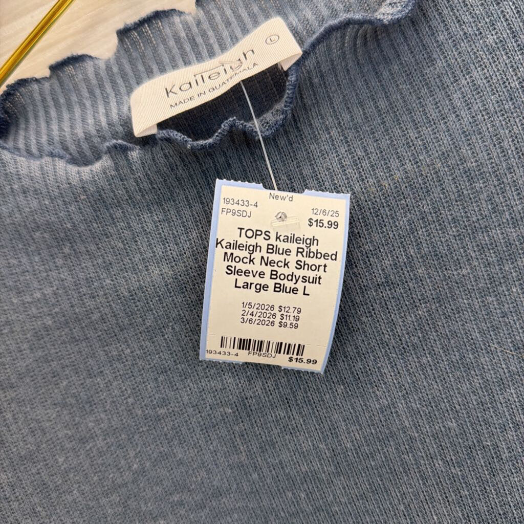 Kaileigh Blue Ribbed Mock Neck Short Sleeve Bodysuit Large