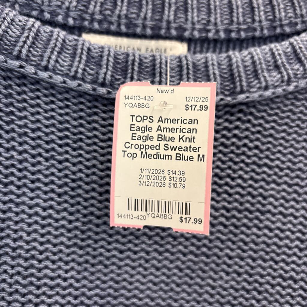 American Eagle Blue Knit Cropped Sweater Top Medium