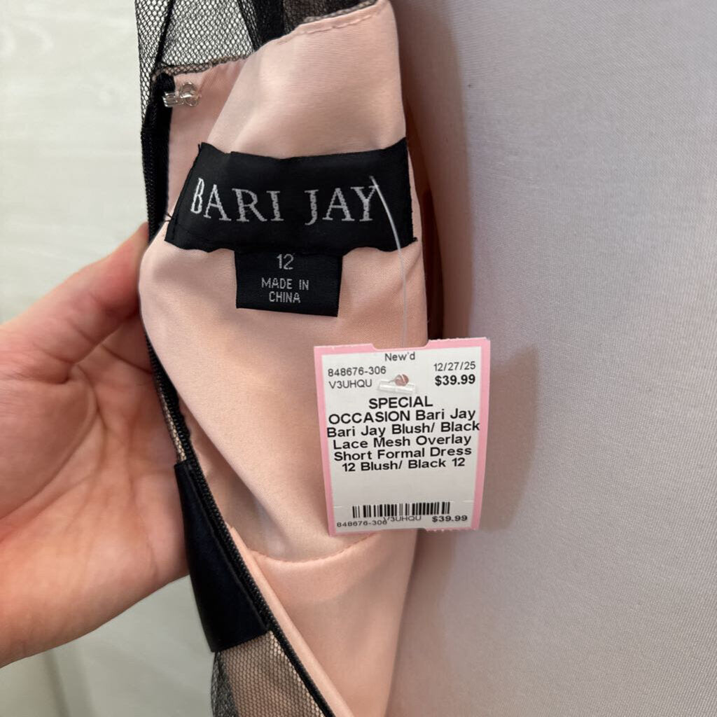 Bari Jay Blush/ Black Lace Mesh Overlay Short Formal Dress 12