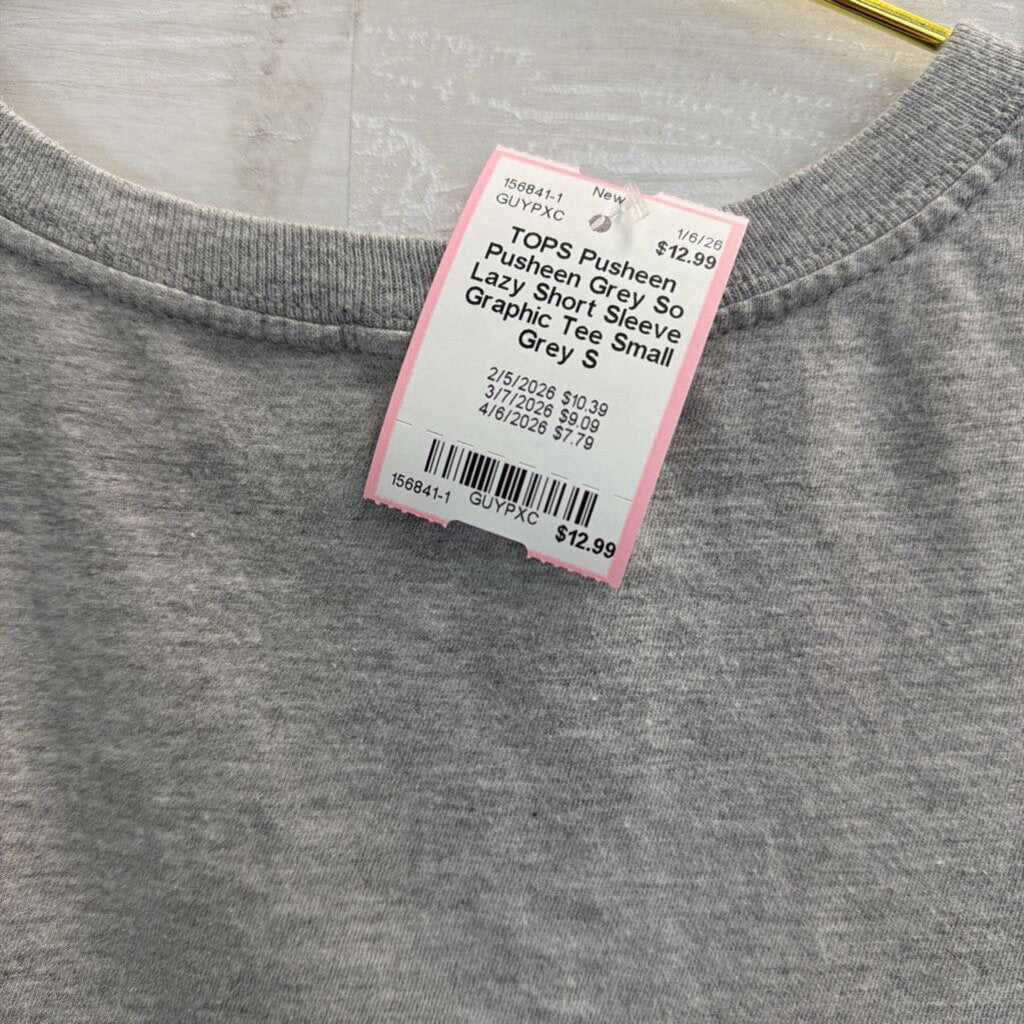 Pusheen Grey So Lazy Short Sleeve Graphic Tee Small