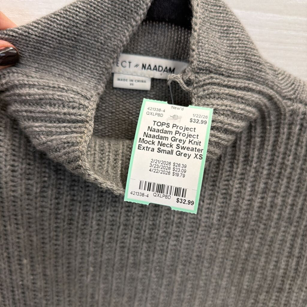 Project Naadam Grey Knit Mock Neck Sweater Extra Small