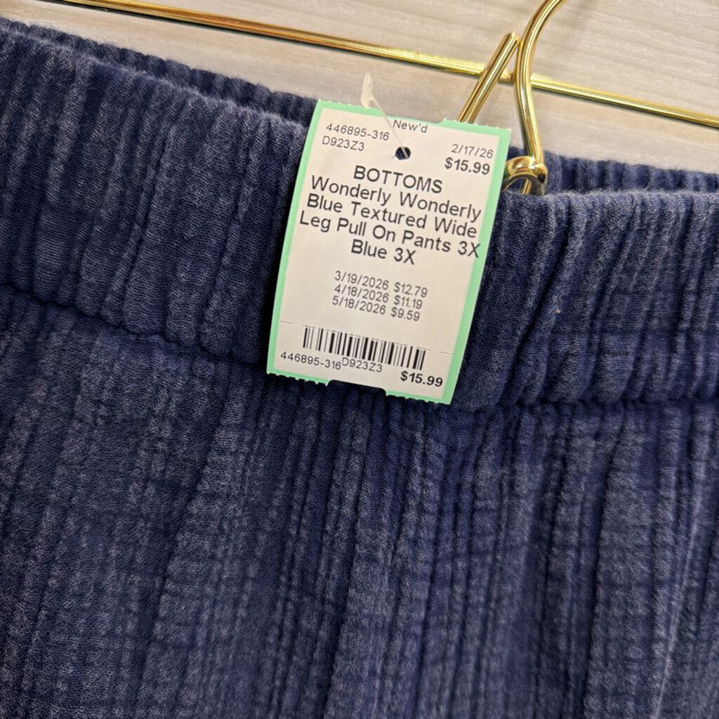 Wonderly Blue Textured Wide Leg Pull On Pants 3X