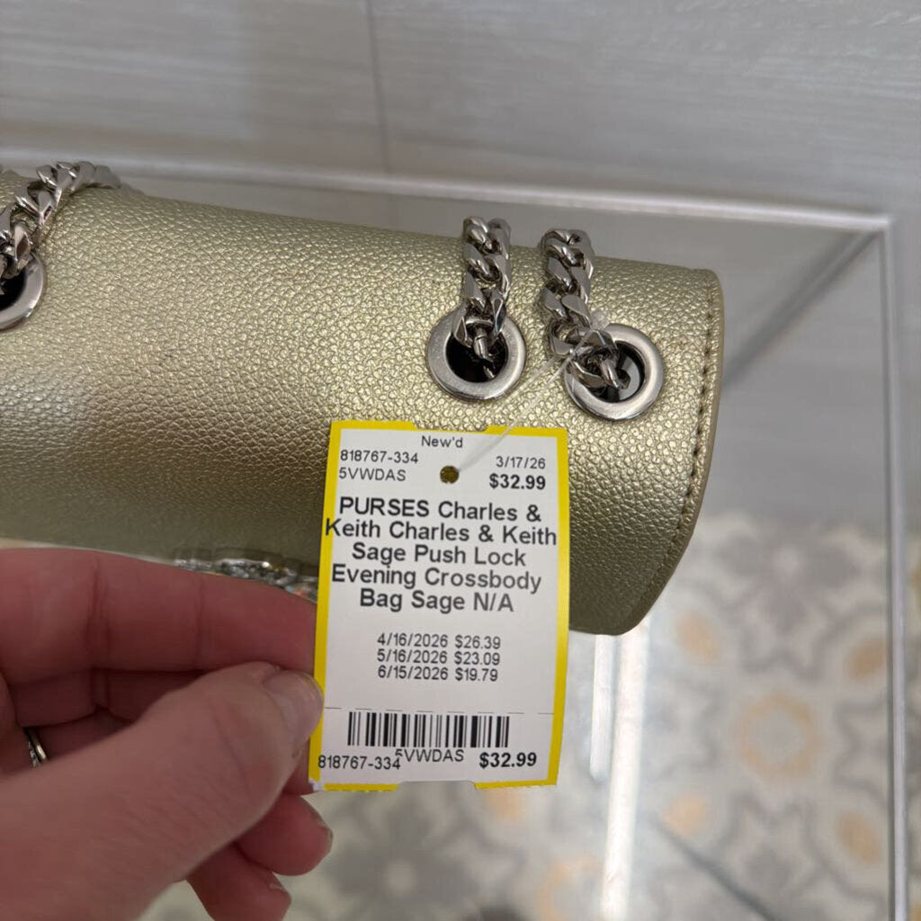 Charles & Keith Sage Push Lock Evening Crossbody Bag